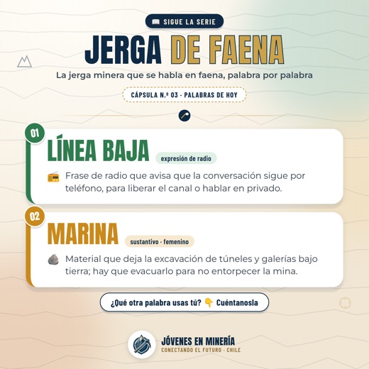 Jerga de faena